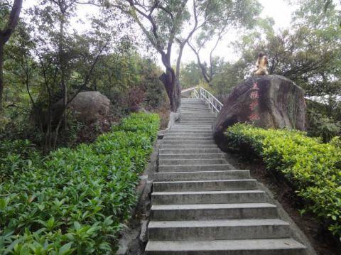 青年男子吉大石花山公园晕倒 消防员紧急赶到