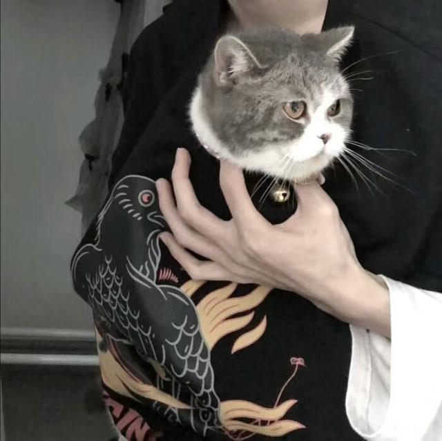 一组男生抱猫头像