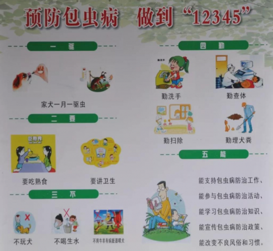 包虫病怎样预防