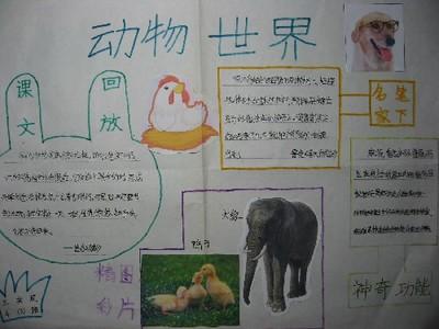 动物世界手抄报比赛三等奖小报展 - 杭州江南-54kb