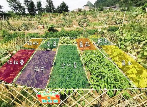 花溪农商行开心农场即将开园,快来看看你的"私家小菜园"吧!