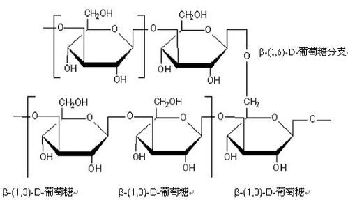 >> 酵母β-葡聚糖