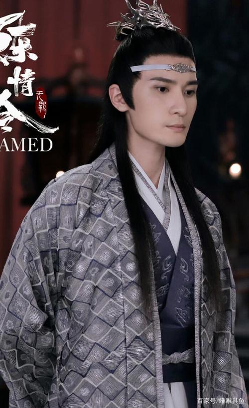 《陈情令》蓝曦臣/那个如晨曦般的温润公子