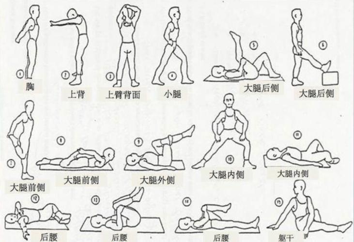 【黄龙健身小讲堂第七期】健身要不要拉伸?拉伸到底有