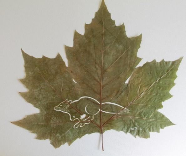 lorenzo duran是一位西班牙艺术家,他将雕刻技艺拓展到树叶上.