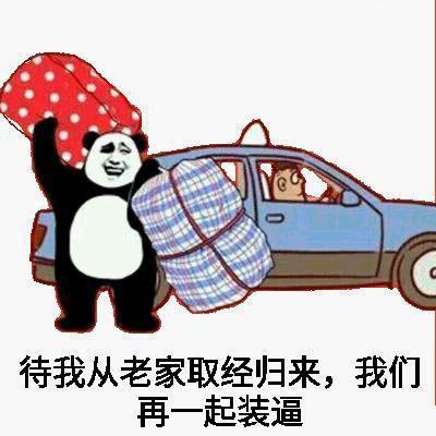 大包小包回家过年表情包