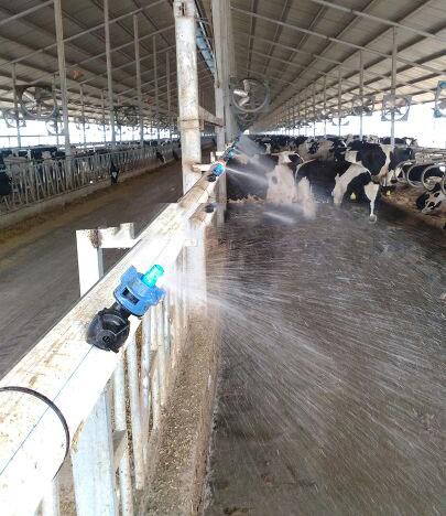 养牛场自动喷水降温设备 降温喷淋头喷嘴