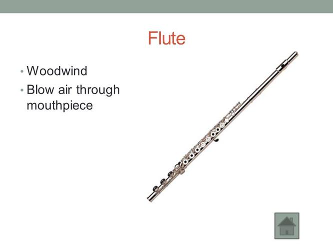 flute woodwind blow air