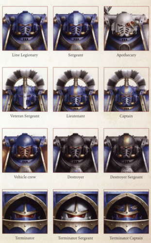 【hh5】极限战士军团的组织制度