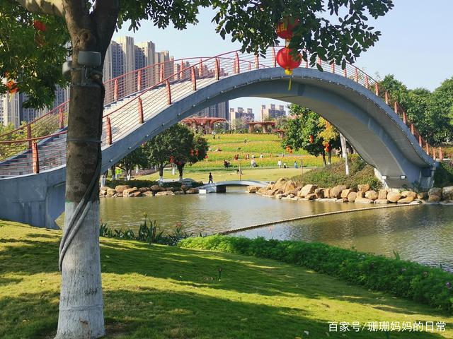 佛山市南海桂城千灯湖风景