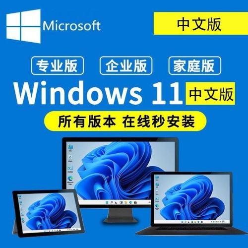 windows11系统,windows11主题 win11系统中文专业版/windows10专业版/支持远程安装