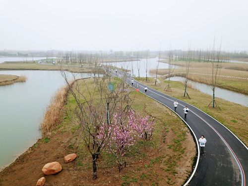 《泗马》泗阳环成子湖微型马拉松(手摄)