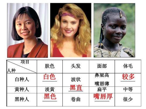 第二节 世界的人种,语言和宗教ppt