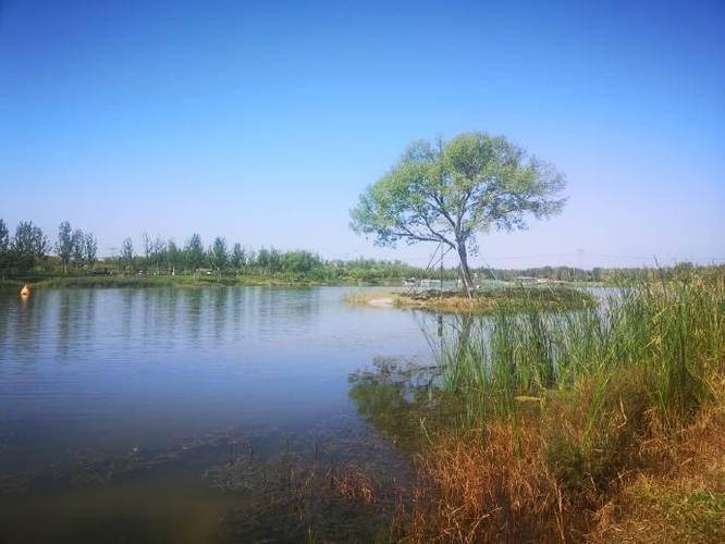 占地面积最大之一的北京温榆河公园