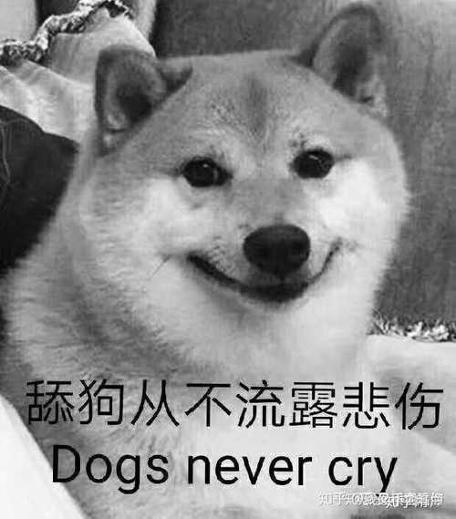 可爱搞怪的舔狗专用带字表情包