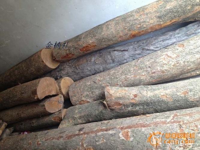 【金楠社】金丝楠木原木