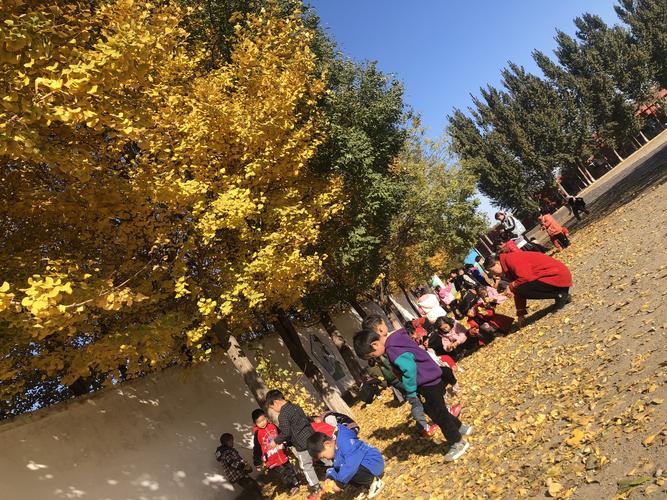 康各庄幼儿园中班《多彩的秋天》主题活动 - 美篇