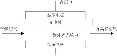 &nbsp&nbsp&nbsp&nbsp图1 臭氧发生器基本原理
