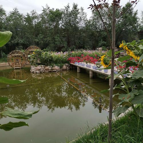 2019年7月19日师生相聚兰州海之林生态园(二)