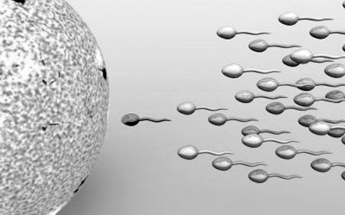 一次精子差,别被吓垮了