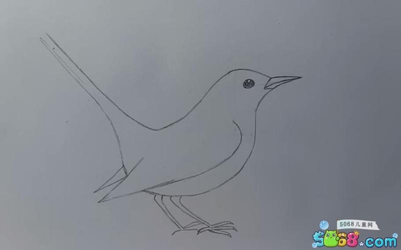 彩铅画小鸟的步骤教程 教小朋友画一只喜鹊(5)_儿童画
