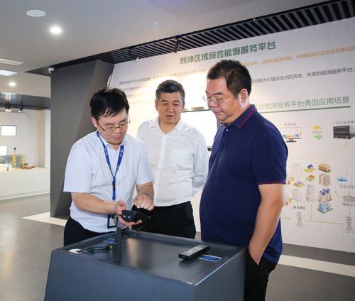 国家节能中心主任徐强一行来访朗坤智慧园
