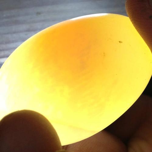 哪位大侠告诉我这个枚鸽子蛋有没有受精?已经孵化6天.