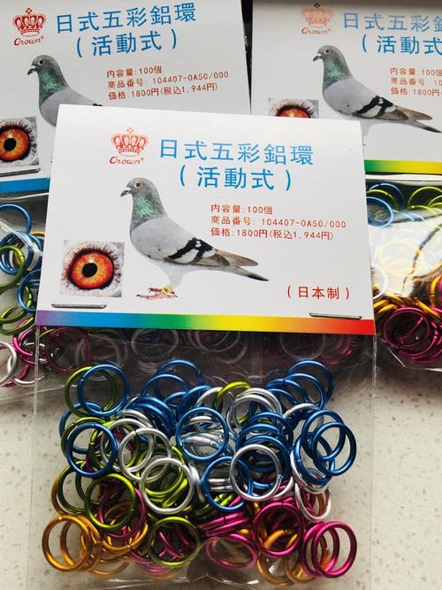 新版鸽子五彩日式信鸽铝圈识别强推