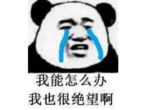 表情包编辑1.jpg