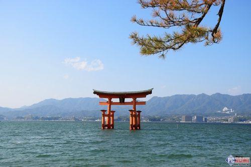 色彩给力尼康d5300行摄日本福冈广岛