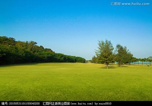 大草坪小山丘高清图片