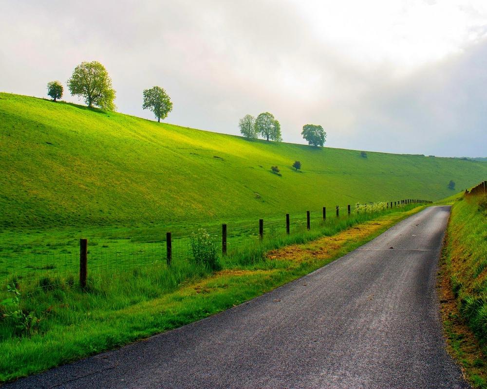 绿色小清新护眼高清壁纸宽屏图片