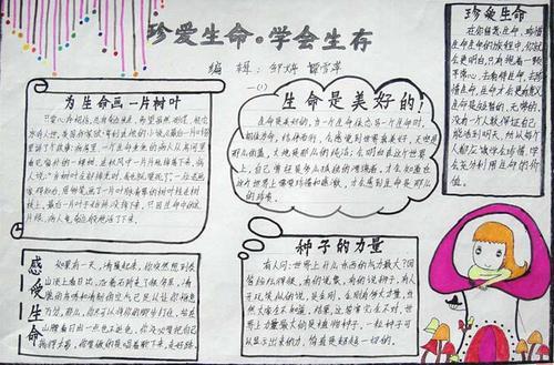 关于生命的手抄报优秀模板大全5张