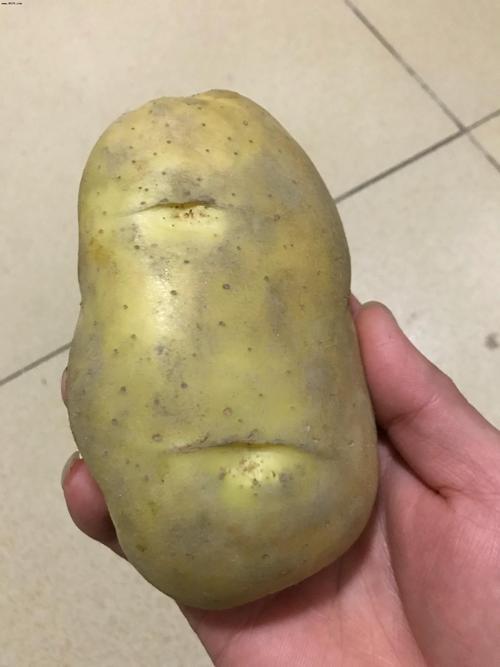 土豆发青了还能吃吗