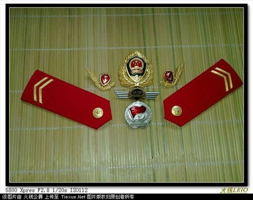 07式武警少尉的帽徽,领花,肩章,臂章,是什么样的?
