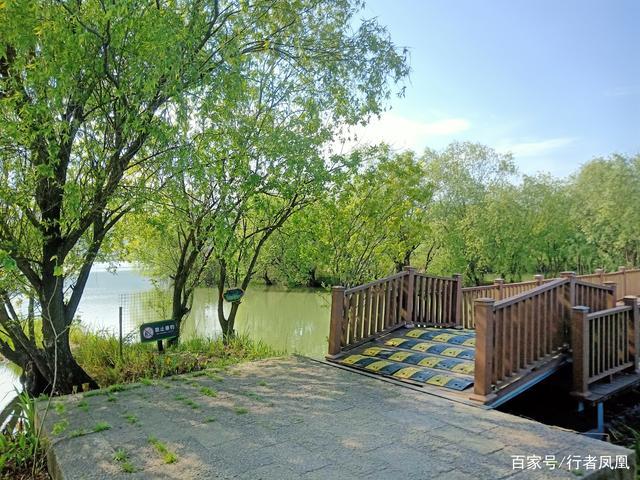 四月芳菲,春日里的龙之梦太湖湿地公园处处是美景