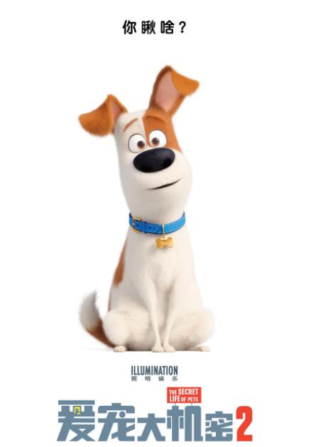 爱宠大机密2百度云资源hd高清高清版下载无删减