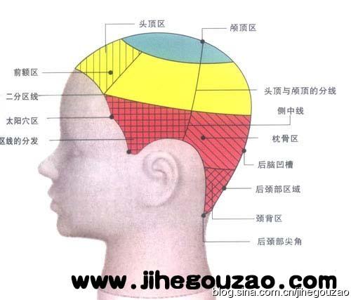 [转载]美发技术培训-二分区技术头部的重要点及区域的特征