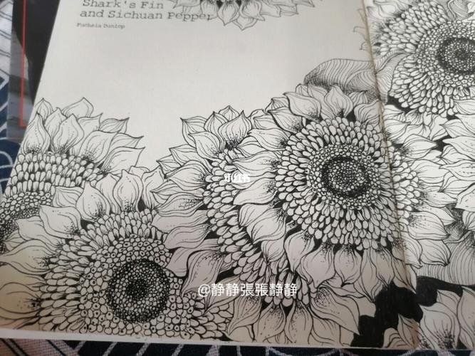 【黑白装饰插画97】向日葵～_插画_向日葵_装饰画_临摹_绘画_春天去