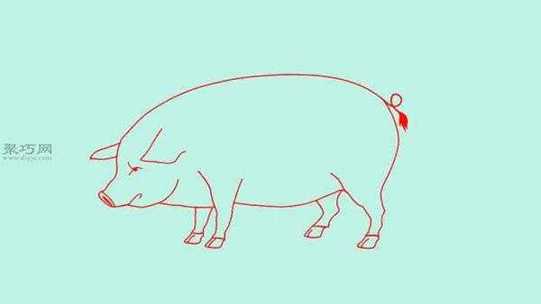 猪的画法步骤教你怎么画逼真的猪简笔画