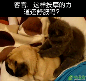 客官,这样按摩的力道还舒服吗?