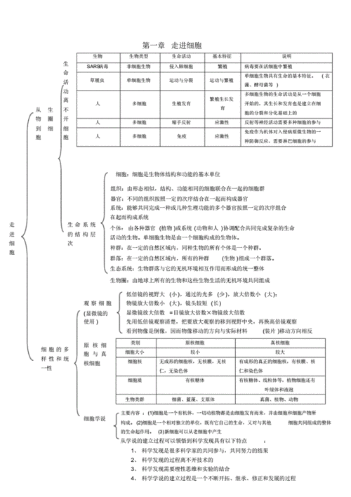 生物必修一知识框架图.pdf 5页
