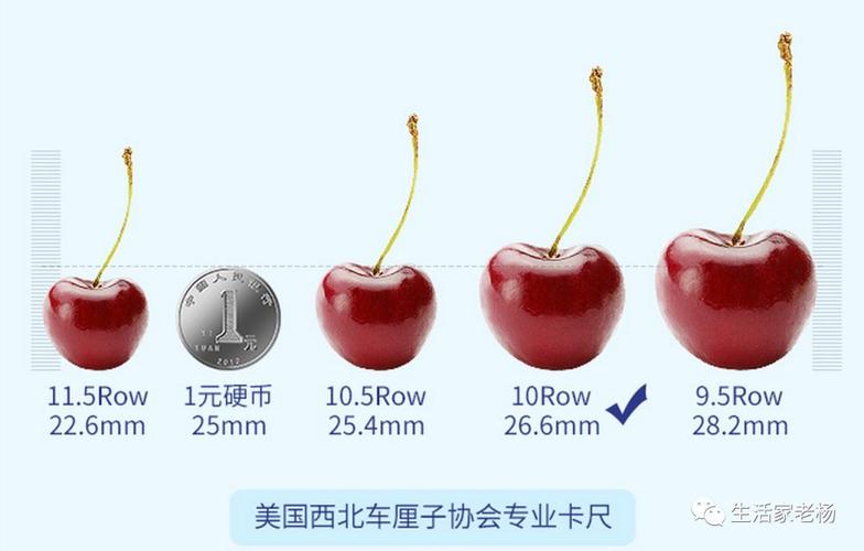 收藏|美食攻略之车厘子