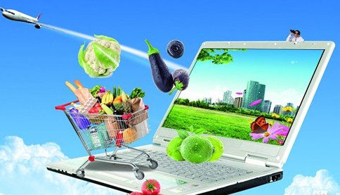 宁夏:农村电子商务将形成产业化_农业行情_容商天下