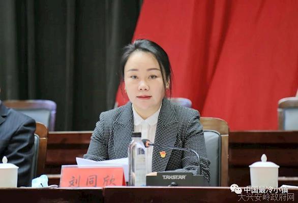 呼中区召开2021年区委工作会议