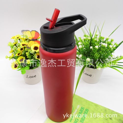 厂家直销新品吸嘴水杯 创意便携汽车杯 双层塑料可定制logo杯子
