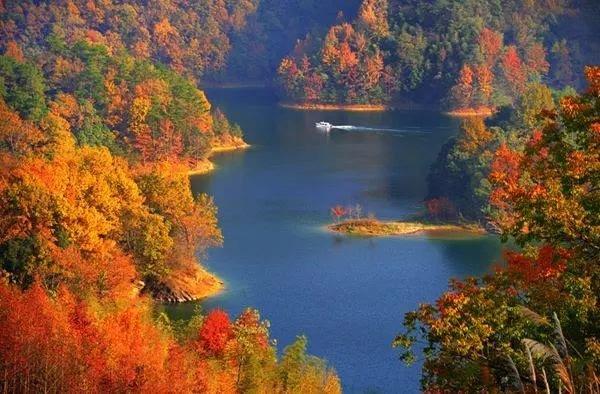 浙江秋季热门旅游景点千岛湖风景区旅游攻略低音号免费语音导游