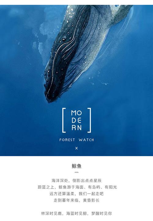 现代简约玄关画地中海唯美鲸鱼入户走廊过道客厅竖版壁画工厂定制