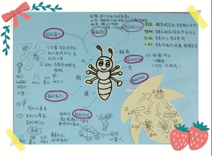 生发出新的问题 请跟这些"思维导图" 深入了解浩瀚的蚂蚁