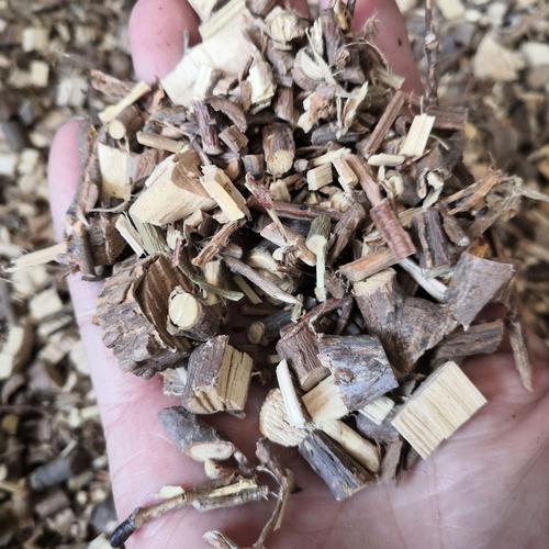 中药材鬼箭羽 鬼箭羽枝 鬼箭羽木 卫矛 六月凌 实物拍摄